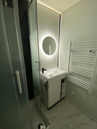une salle de bain avec un lavabo et une douche avec un miroir dans l'établissement Studio chaleureux rénové, à Allemont