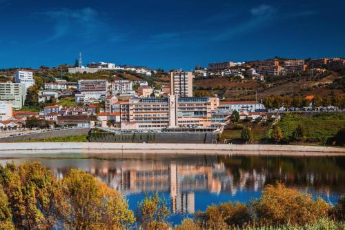 a city on a hill next to a body of water at Hotel Regua Douro in Peso da Régua