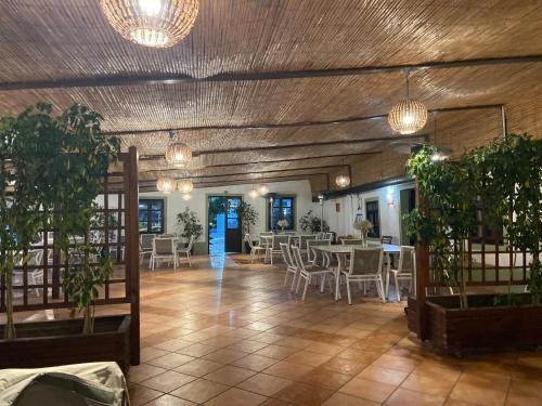 a dining room with tables and chairs and potted plants at Apartamento Pedras Del Rei - Casa Azul in Tavira