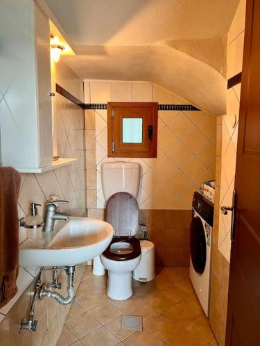 a small bathroom with a toilet and a sink at Villa Psarro Elato in Stournaraíïka