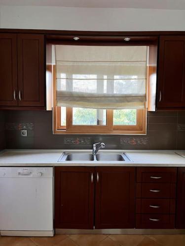 a kitchen with a sink and a window at Villa Psarro Elato in Stournaraíïka