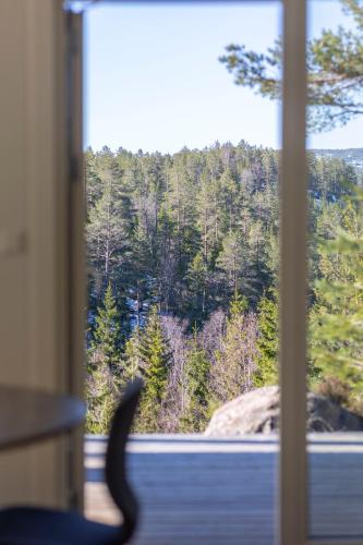a cat looking out of a window at a lake at Bjønntjønn 229 in Heimdal