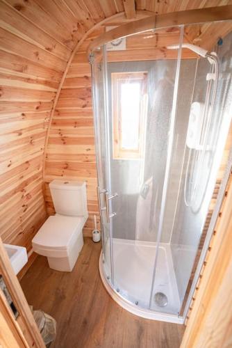 a bathroom with a shower and a toilet in a cabin at Ocean View with hot tub in Barmouth