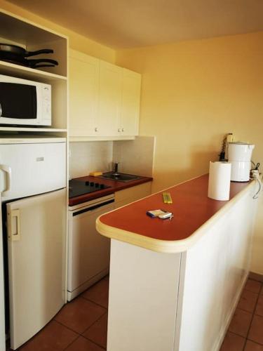 a kitchen with a white refrigerator and a microwave at Petit cocon en Provence in Mallemort