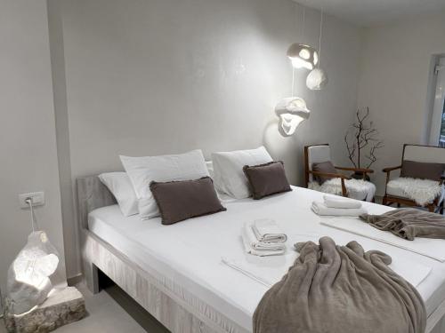 Sea Shells Studio Apartment