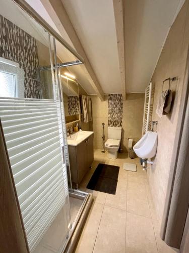 a bathroom with a shower and a toilet and a sink at GS-Vibes in Porto Rafti