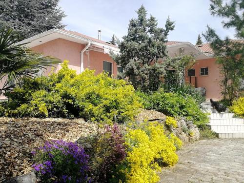 Gallery image of Fészek Apartmanház in Vonyarcvashegy