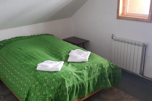 ein grünes Bett mit zwei weißen Handtüchern darauf in der Unterkunft Alpina66 in Jieţ