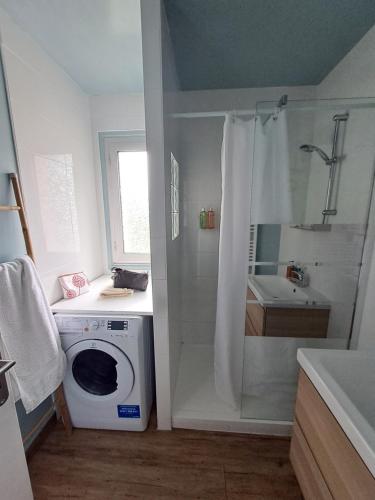 a bathroom with a washing machine and a shower at L'appart de Saint-Lary in Saint-Lary-Soulan