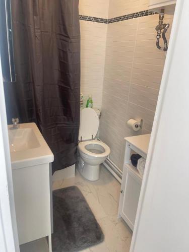 une petite salle de bain avec toilettes et lavabo dans l'établissement Montmartre Sacré Cœur Appartement Refait à Neuf Paris 18ème - 4 P, à Paris