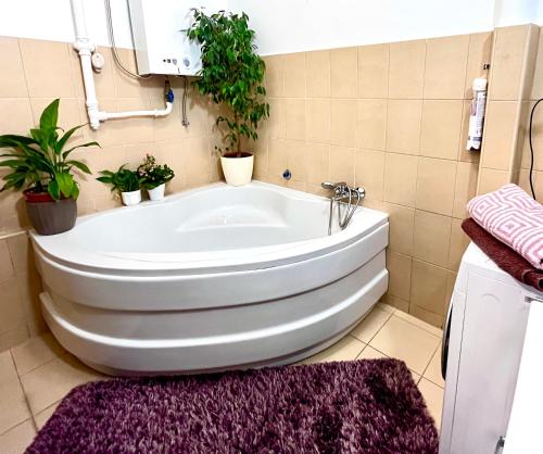 Margaret Bridge cozy flat 1027 Budapest, Margit Körút 1 kép - 3