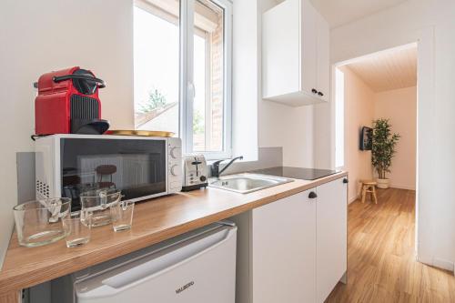 - une cuisine avec un comptoir, un four micro-ondes et un évier dans l'établissement L'éclat - Calme et proche gare, à Reims