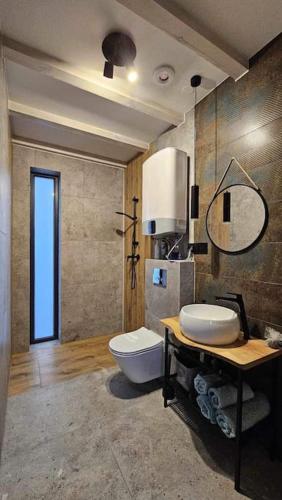 a bathroom with a toilet and a sink and a mirror at Sielanka na Roztoczu in Ciotusza Nowa