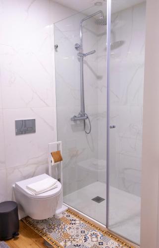 a bathroom with a shower and a toilet at Casa das Falcoeiras - AL com pátio e jardim privados in Aveiro