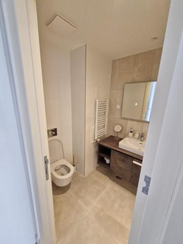 a bathroom with a toilet and a sink at Belgrade Waterfront BW Sava Aqua in Sajmište