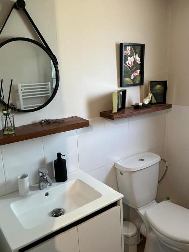 une salle de bain avec un lavabo, des toilettes et un miroir dans l'établissement Magnifique appartement petit havre de paix Frejus, à Fréjus