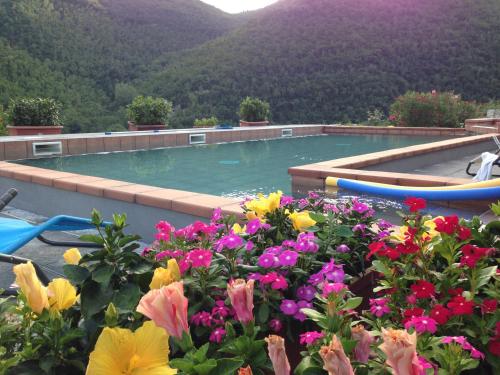 a swimming pool with flowers in front of it at Tenuta dei Cavalieri in Molino del Piano
