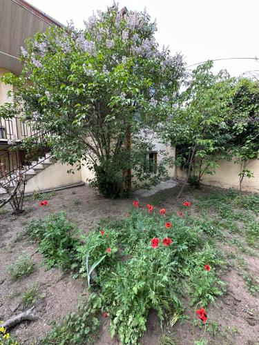a garden with red flowers and a tree at Popock City Center in Yerevan