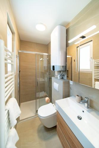 a bathroom with a toilet and a shower and a sink at Arti Holiday Homes in Banjol