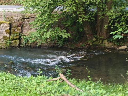 a stream of water next to a brick wall at Harmonie et les fées du Flavion - chambres in Onhaye