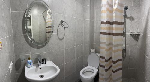 a bathroom with a sink and a toilet and a mirror at Aronia Kazbegi in Stepantsminda