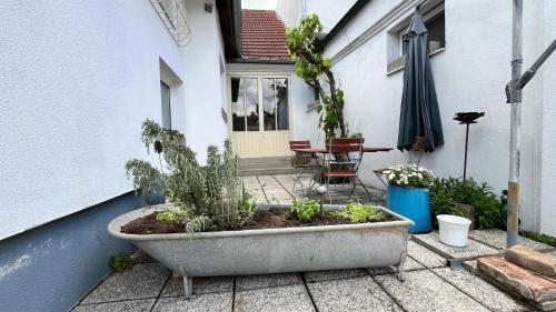 a patio with a large planter with plants in it at LandLibe in Erdberg
