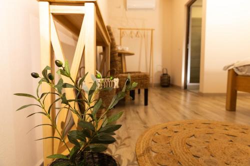 Φωτογραφία από το άλμπουμ του Zaz HOME σε Sasca Română