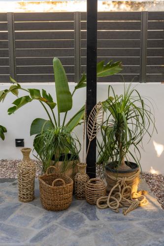 a group of plants in baskets on a table at Mezcal Private Pool Villa in Kalívia Thorikoú
