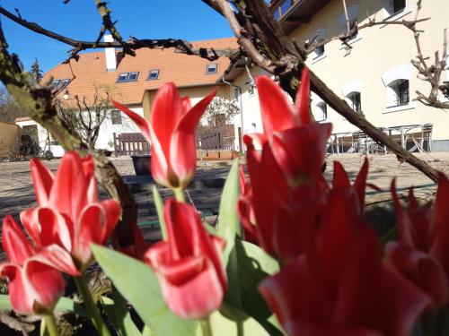 Fotografie z fotogalerie ubytování Apartmán Na návsi v destinaci Třebíz