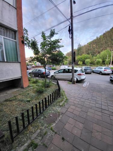 a street with cars parked in a parking lot at B&b Paralela 45 in Piatra Neamţ