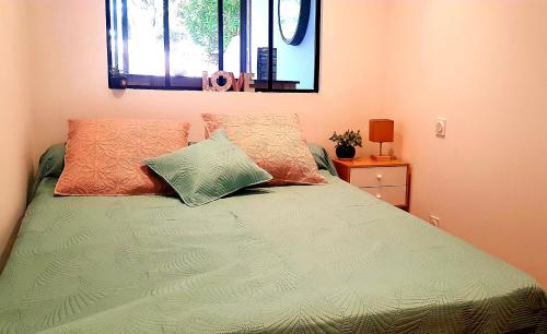 a bedroom with a bed with two pillows and a window at Casa santa lucia in San-Nicolao