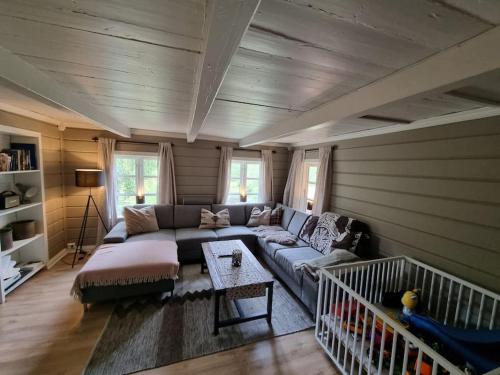 una sala de estar con un sofá y una mesa en Backpack Park Telemark, en Drangedal