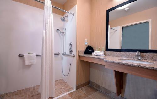 La salle de bains est pourvue d'une douche, d'un lavabo et d'un miroir. dans l'établissement Holiday Inn Express Hotel & Suites High Point South, an IHG Hotel, à Archdale