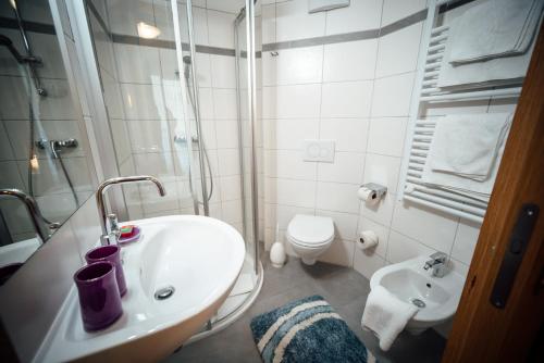 a bathroom with a sink and a shower and a toilet at Appartement Panorama Loft in Bad Kleinkirchheim
