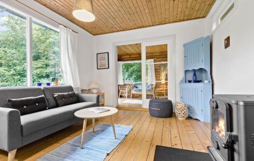 a living room with a couch and a fireplace at 3 Bedroom Amazing Home In Gilleleje in Gilleleje