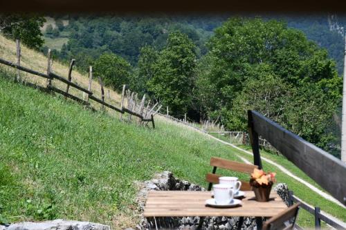 a wooden table with a cup of tea on a hill at Apartment Abinkar in Tolmin
