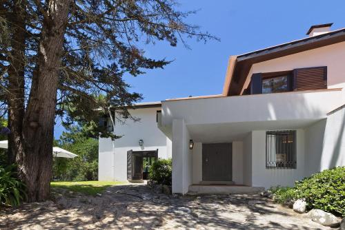 a white house with a tree at Casa de Santo António Moledo in Moledo