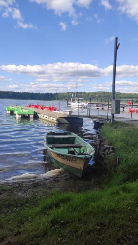 a boat sitting on the shore of a body of water at Domek wakacyjny "Sosnowy Zakątek" in Stegers