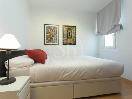 Spacious Apartment in Eixample Heart of Barcelona