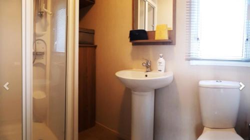 a bathroom with a sink and a toilet and a shower at Haven Church Farm in Pagham