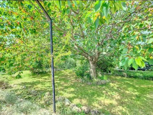Taman di luar Super maison 5 pièces avec jardin