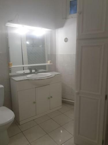 une salle de bain blanche avec un lavabo et des toilettes dans l'établissement Appartement près des plages en plein centre ville, à Loupian