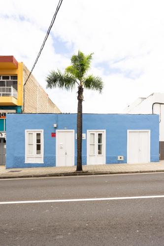 a palm tree in front of a blue building at Alojamientos Serendipity FM in Icod de los Vinos