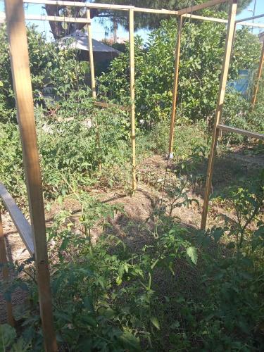 un jardin avec une clôture et quelques plantes dans l'établissement Le Mazet, chambre chez l'habitant, à Cagnes-sur-Mer