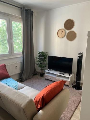 un salon avec un canapé et une télévision à écran plat dans l'établissement Appart strasbourg centre, à Strasbourg
