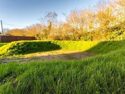 a dirt road in a field of grass at mulberry house in Flordon