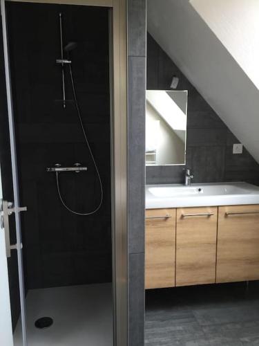 une salle de bain avec douche et lavabo dans l'établissement Petite maison Piscine et Vue sur la mer, à Carnac