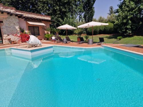 a large blue swimming pool with chairs and umbrellas at B&B Villa Sbaraglia in Alatri
