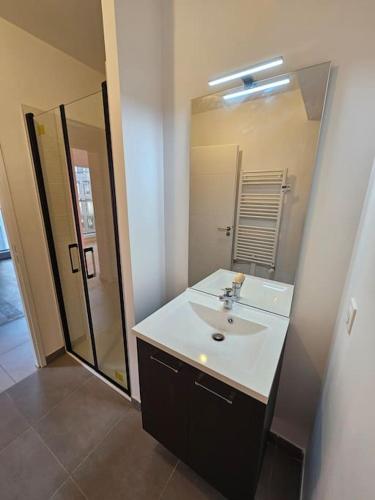 une salle de bain avec un lavabo et un grand miroir dans l'établissement Appartement neuf en duplex, à Saint-Maur-des-Fossés
