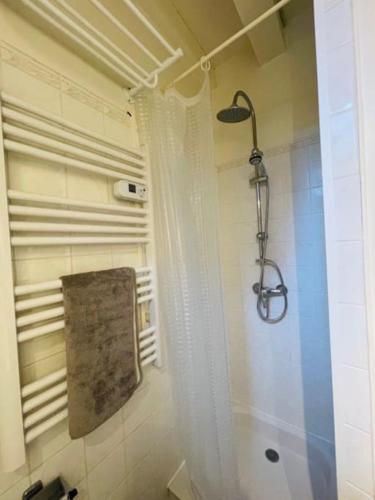 La salle de bains est pourvue d'une douche avec rideau de douche. dans l'établissement Duplex Cité Plantagenêt - 2 Voyageurs - WIFI, au Mans